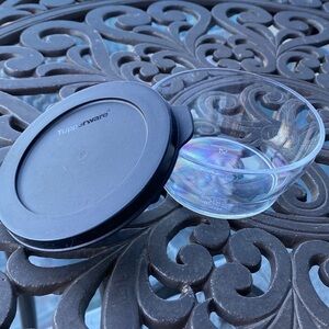 Tupperware Clear 250 ml Storage Container with Black Lid